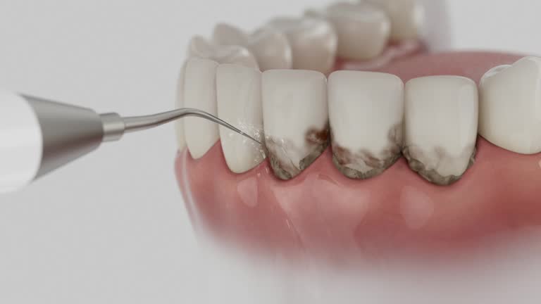 Reliable Dental contractor in La Marque, TX by Dentist Open Now